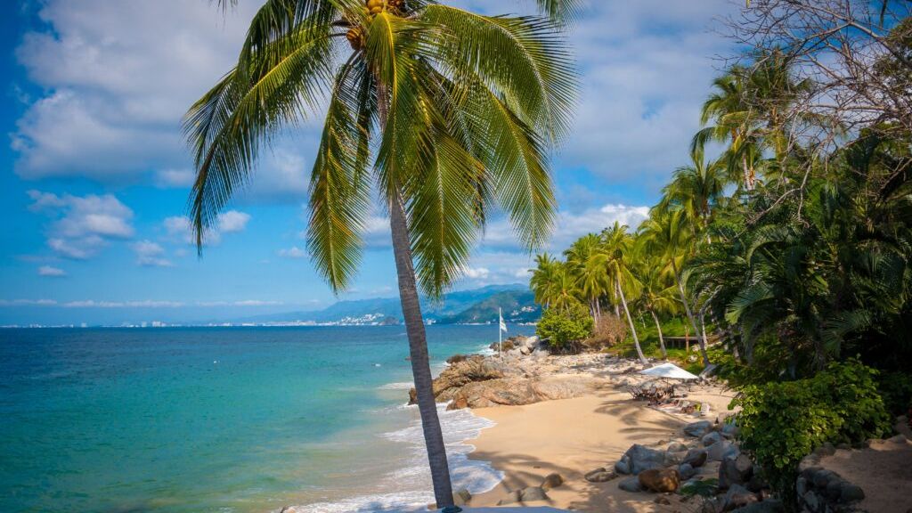 El Verano es la nueva temporada alta en Puerto Vallarta?